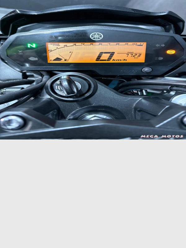 Foto Miniatura Yamaha FAZER 250 FZ 25 ABS 2024